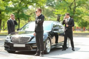 Easy executive protection field report